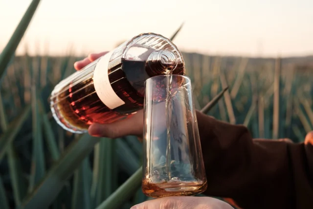 From agave to glass, every drop tells a golden story.
This is Idilica Tequila.
#SavorTheSunset #IdilicaTequila